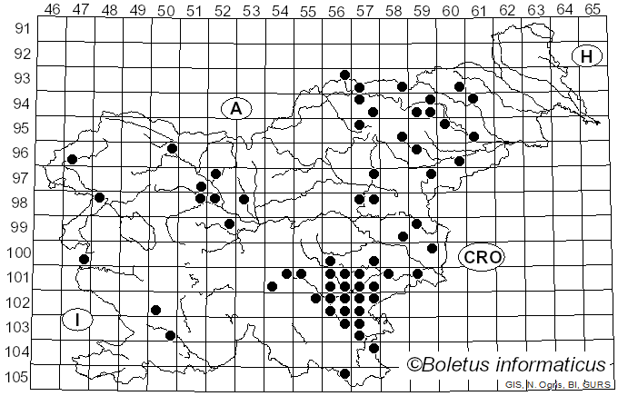 <i>Russula amoenicolor</i> Romagn. (1962)