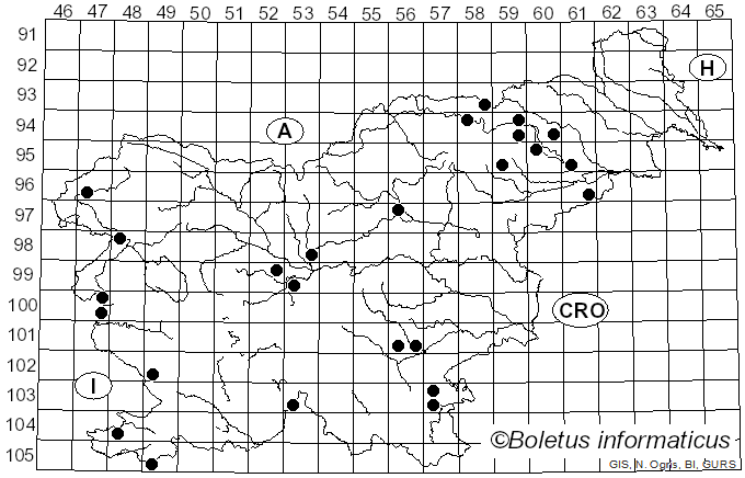 <i>Psathyrella leucotephra</i> (Berk. & Broome) P.D. Orton (1960)