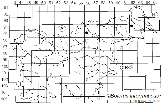 <i>Russula atropurpurea</i> var. <i>dissidens</i> Zvára