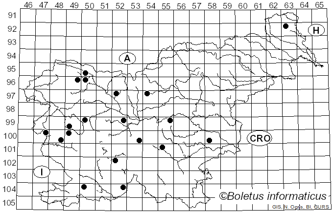 <i>Hemitrichia decipiens</i> (Pers.) García-Cunch., J.C. Zamora & Lado (2022)