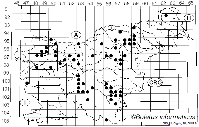 <i>Albatrellus subrubescens</i> (Murrill) Pouzar (1972)