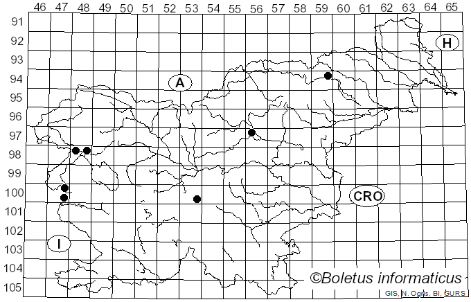 <i>Cystolepiota sistrata</i> (Fr.) Singer ex Bon & Bellù (1985)