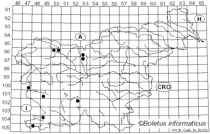 <i>Hysterographium</i> Corda (1842)