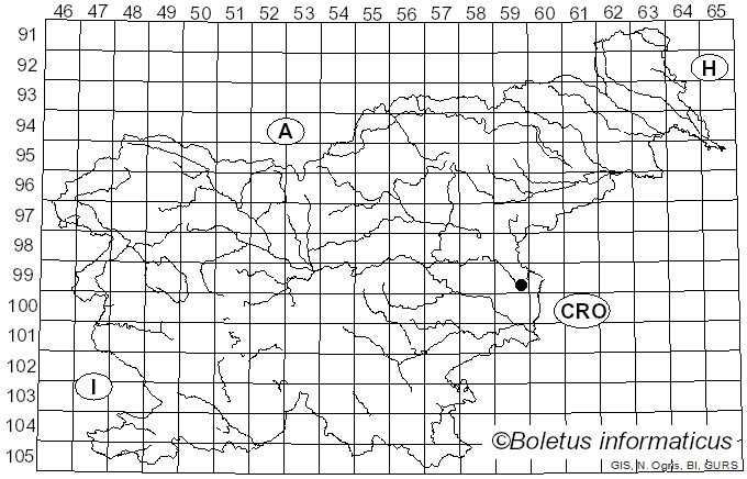 <i>Puccinia striiformis</i> Westend. (1854)