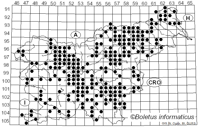 <i>Lactifluus vellereus</i> (Fr.) Kuntze (1891)