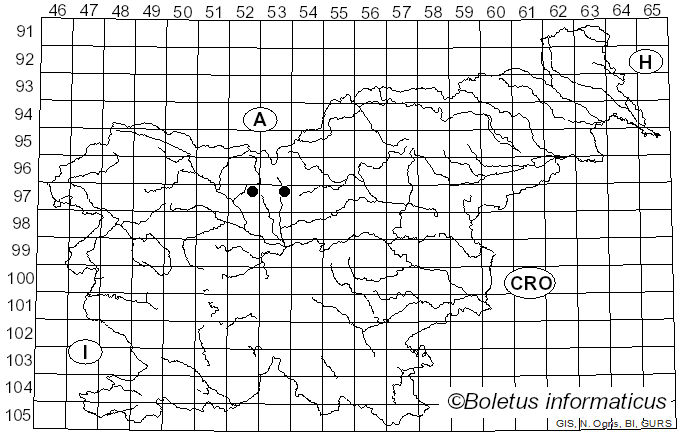 <i>Marssonina daphnes</i> (Roberge ex Desm.) Magnus (1906)