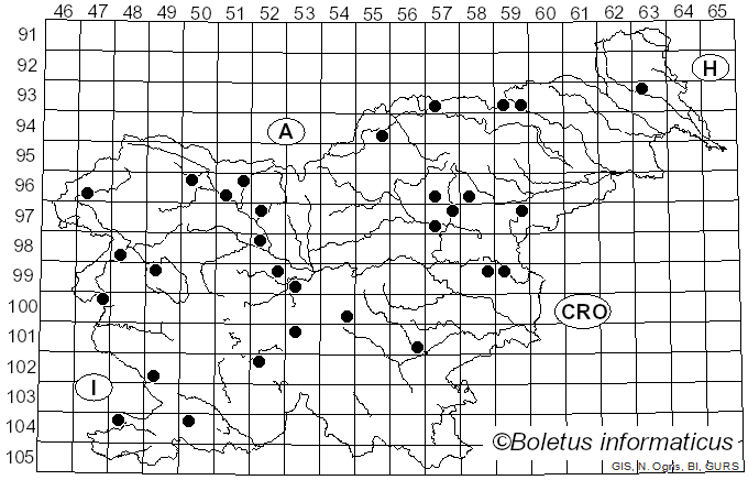 <i>Hygrocybe ovina</i> (Bull.) Kühner (1926)