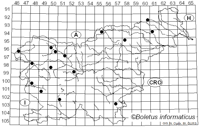 <i>Phylloporia</i> Murrill (1904)