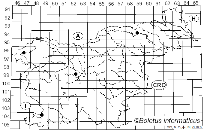 <i>Mycena olivaceomarginata</i> (Massee) Massee (1893)