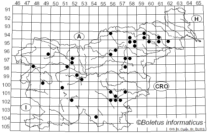 <i>Lasiochlaena</i> Pouzar (1990)