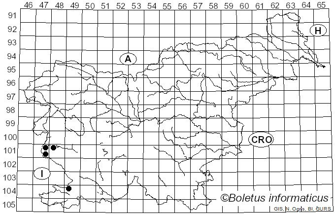 <i>Coprinellus bipellis</i> (Romagn.) P. Roux, Guy García & Borgarino (2006)