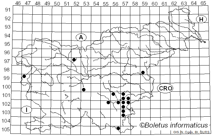 <i>Pogonoloma</i> (Singer) Sánchez-García (2014)