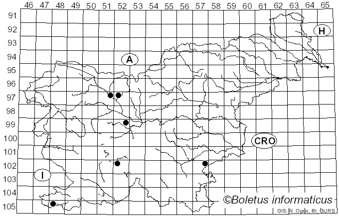 <i>Ramariopsis kunzei</i> (Fr.) Corner (1950)