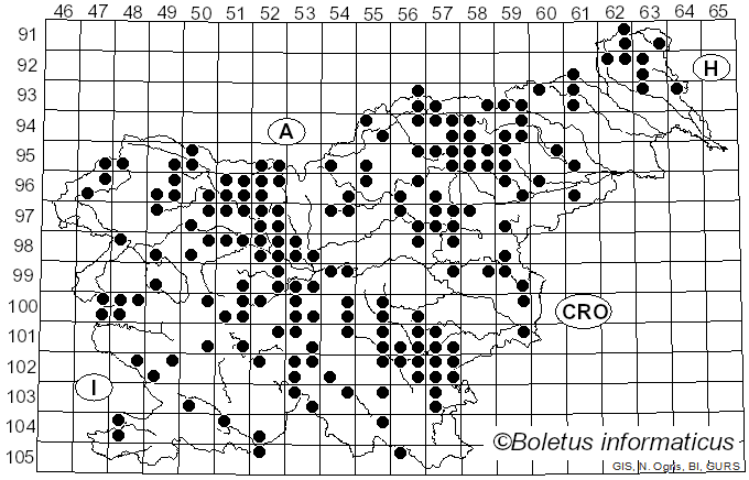 <i>Chalciporus piperatus</i> (Bull.) Bataille (1908)