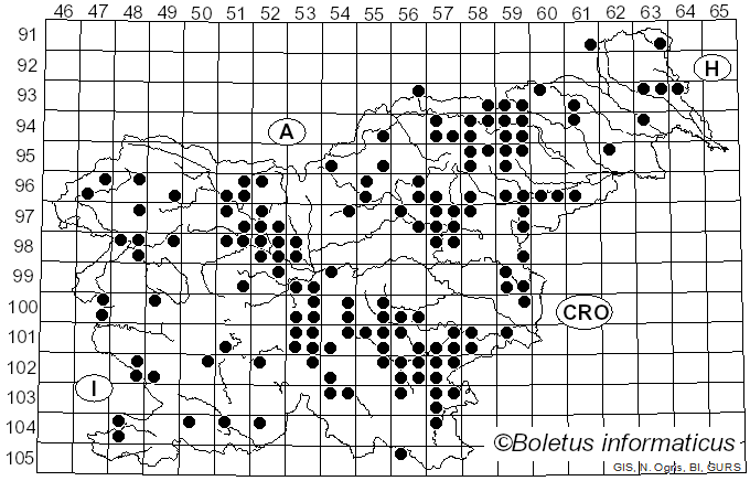 <i>Entoloma rhodopolium</i> (Fr.) P. Kumm. (1871)