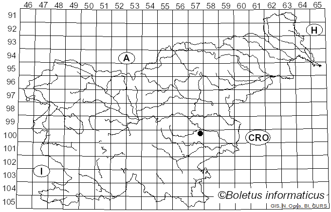 <i>Cordyceps memorabilis</i> (Ces.) Ces. (1861)