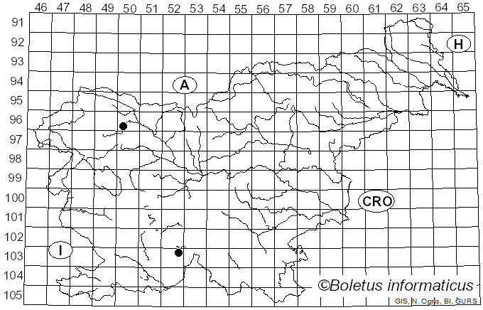 <i>Lecanora strobilina</i> (Spreng.) Kieff. (1895)