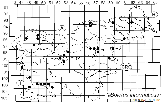<i>Dothistroma</i> Hulbary (1941)