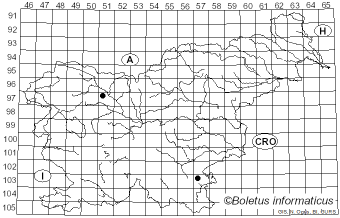 <i>Naematelia aurantia</i> (Schwein.) Burt (1921)