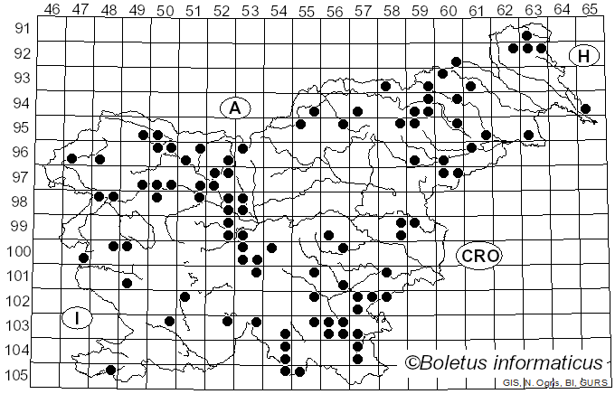 <i>Kretzschmaria deusta</i> (Hoffm.) P.M.D. Martin (1970)