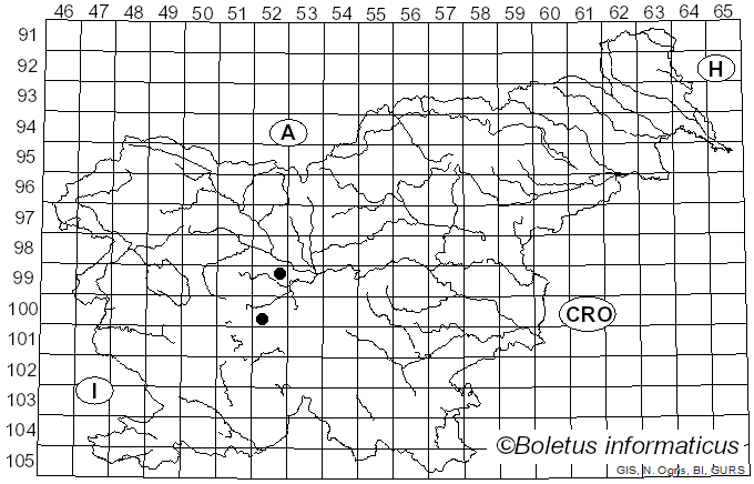 <i>Amanita solitaria</i> (Bull.) Fr. (1836)