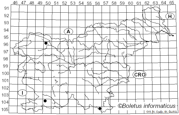 <i>Hypocrea gelatinosa</i> (Tode) Fr. (1849)