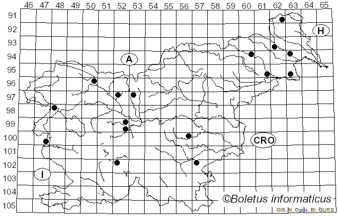 <i>Melogramma campylosporum</i> Fr. (1849)