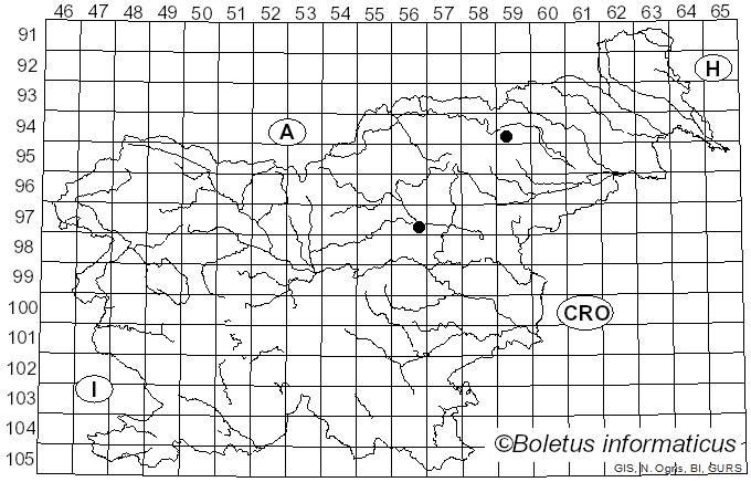 <i>Neottiella</i> (Cooke) Sacc. (1889)