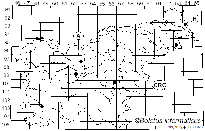 <i>Cryphonectria carpinicola</i> D. Rigling, T. Cech, Cornejo & L. Beenken (2020)