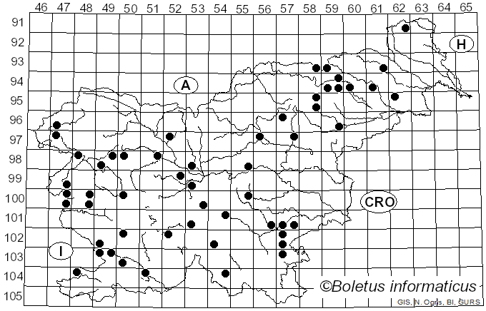 <i>Cortinarius variecolor</i> (Pers.) Fr. (1838)