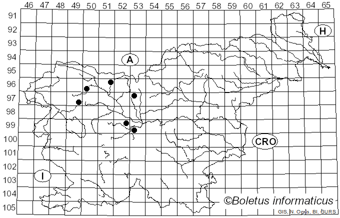 <i>Fusidium</i> Link (1809)
