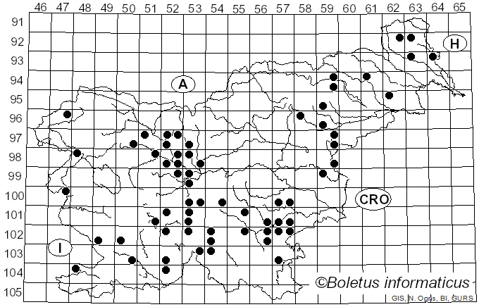 <i>Tricholoma squarrulosum</i> Bres. (1892)