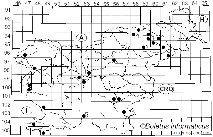 <i>Psathyrella leucotephra</i> (Berk. & Broome) P.D. Orton (1960)