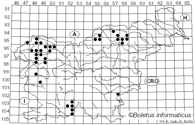 <i>Rinodina</i> (Ach.) Gray (1821)