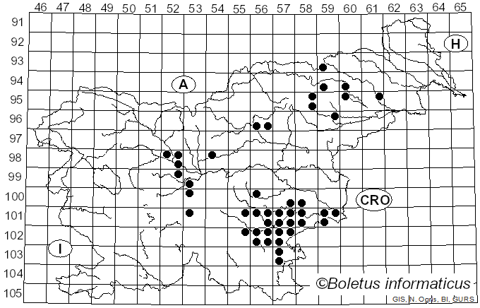 <i>Nematoloma</i>