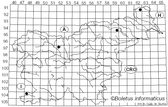 <i>Calonarius napus</i> (Fr.) Niskanen & Liimat. (2022)