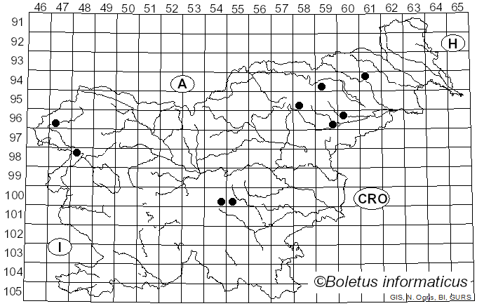 <i>Russula pseudoaeruginea</i> (Romagn.) Kuyper & Vuure (1985)