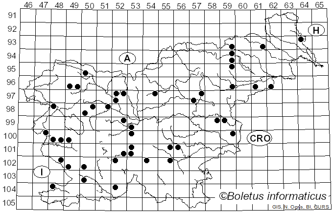 <i>Calonarius elegantior</i> (Fr.) Niskanen & Liimat. (2022)