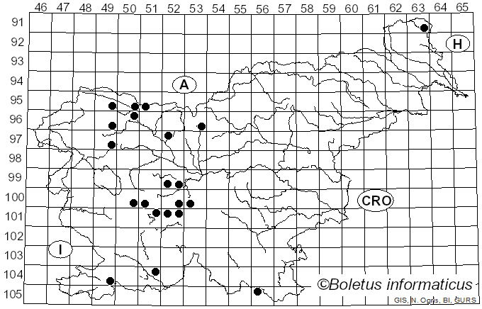 <i>Eristalis pertinax</i> Scopoli (1763)