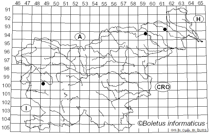 <i>Inocybe hirtella</i> Bres. (1884)