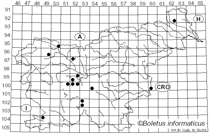 <i>Eristalis arbustorum</i> Linnaeus (1758)