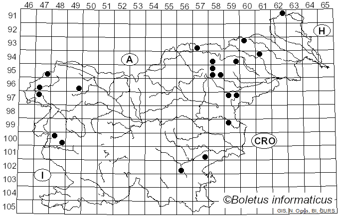 <i>Thaxterogaster</i> Singer (1951)