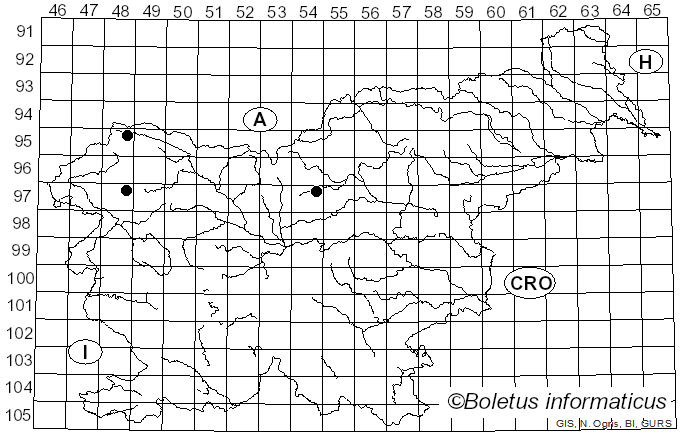 <i>Cheilosia gigantea</i> Zetterstedt