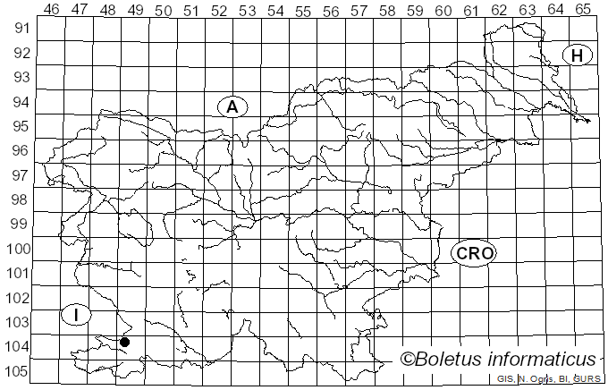 <i>Daleomyces petersii</i> (Berk.) Van Vooren (2020)