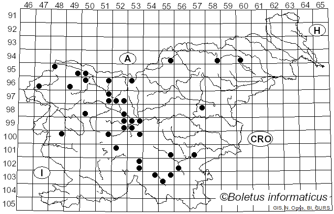 <i>Morchella conica</i> Krombh. (1834)