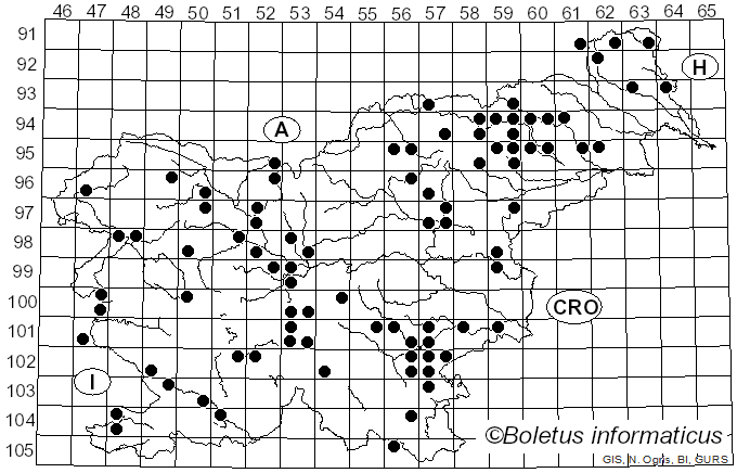 <i>Lepiota magnispora</i> Murrill (1912)
