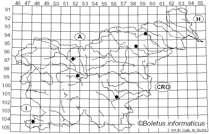 <i>Cortinarius traganus</i> var. <i>odoratus</i> Mos.