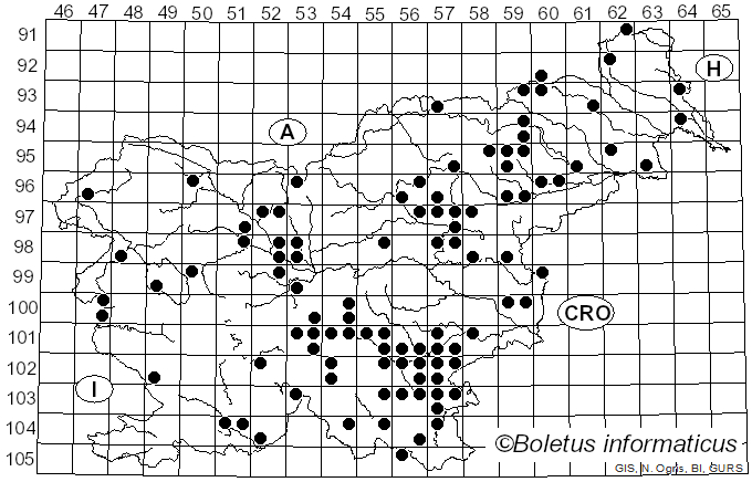 <i>Pluteus leoninus</i> (Schaeff.) P. Kumm. (1871)