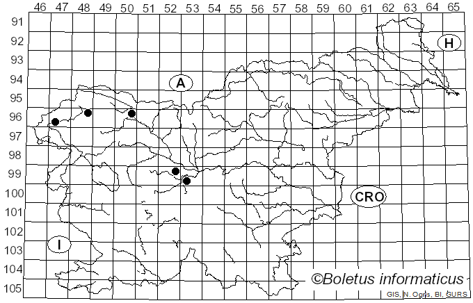 <i>Microbotryum violaceum</i> (Pers.) G. Deml & Oberw. (1982)