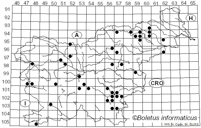 <i>Inosperma maculatum</i> (Boud.) Matheny & Esteve-Rav. (2019)